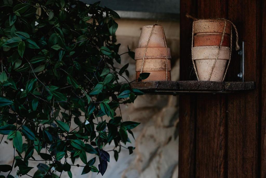 Old World Charm - Simplistic Luxury * Ross